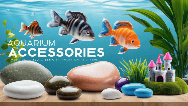 Aquarium Fish –Your One-Stop Shop for All Things Aquarium 10 aquarium fish