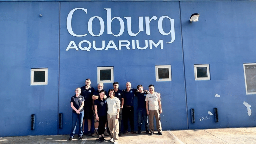 Discover the Wonders of Coburg Aquarium: A Hidden Gem for Aquatic Enthusiasts 5 image 3