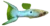 Lyretail Guppy